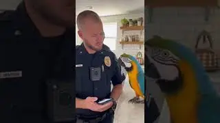 Cop: you know my ex.