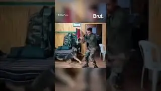 Army Dog Zoom | viral video | #shorts