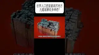 世界人口密度最高的地方，九龍城寨有多神奇?#科普 #漲知識