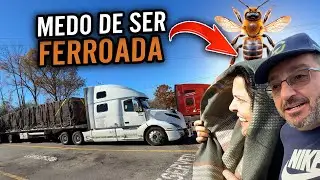 ELA EST&Aacute; COM MEDO DE SER FERROADA PELAS  ABELHAS 🐝
