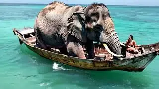large elephant sitting in a small wooden boat