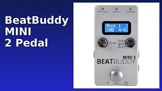 REVIEW (2025): BeatBuddy MINI 2 Pedal. ESSENTIAL details.