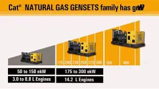 DG 175 to 450 ekW Series Gas Generator Sets