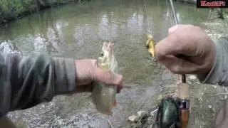 Pescuit la Clean - Valea Deznei - Kenart Hunter - part 2