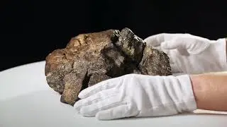 Massive 12-lb Lunar Meteorite Puzzle Piece at RR Auction