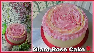 Chocolate rose🌹🌹cake kaise banaye#rose #rosecake#chocolatecake#trendingcake#rose#youtubevideos#viral