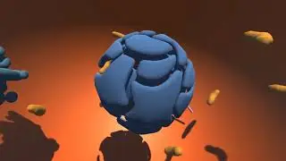Cellscape