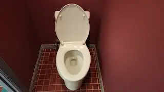 Newer WaterRidge Dual Flush toilet