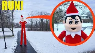 If you ever see the Tall Elf on the Shelf on Christmas Day, RUN AWAY FAST! (He is bad)