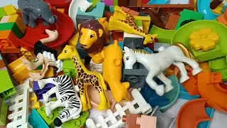 Satisfying Building Blocks Marble Run ASMR #318 block coaster and many animals live 9