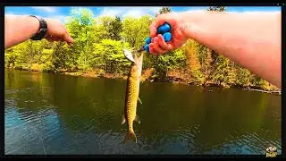 Fishing Pennsylvania w/ Tommy Tanks & Power-Bait Paul (Trout - Catch, Clean & Cook)