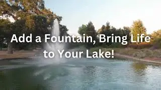 Lake N' Pond Pro