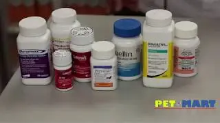 Hip Dysplasia in Dogs