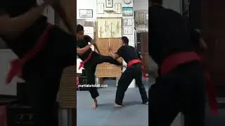 Malaysia Vagabond Tiger fist