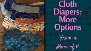 Cloth Diapers: More Options, Nicki&rsquo;s, Flip, Snap, Velcro, Covers, Pocket Diapers, from a Mom of 6