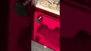 'Purpleback&rsquo; Colony beginnings 2022.10.31
