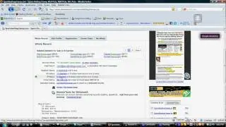 Connecting domains through I.P. history & reverse IP lookup