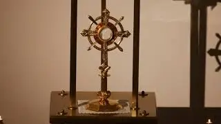 Shrine Live Stream - 1st February 2026 - Sunday Mass