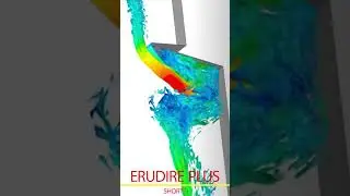 SolidWorks Free Surface | ERUDIRE PLUS SHORTS