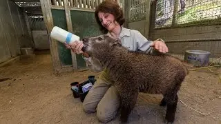 Baby Takin Bottle Feeding