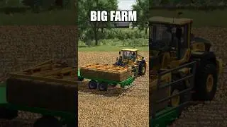 SMALL FARM vs BIG FARM #shorts #fs25 #farmingsimulator25