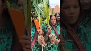 GREEN FESTIVAL 2025