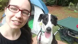 Tips and Tricks to Camp Comfortably at Any Age