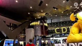 Hamad International Airport (Doha Qatar)