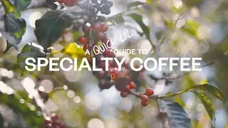 A Quick Li&rsquo;l Guide to Specialty Coffee (Japanese)