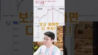 주식 하락장 대처법