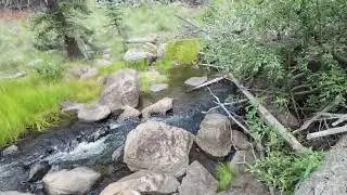 Thompson Trail Hike pt 1