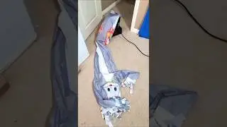 Miss Rabbit Air Dancer Has Fainted #shorts
