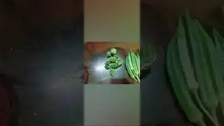 #organic #organicfarming #organicgardening #nopesticides  #garden #vegetables #organicvegetable