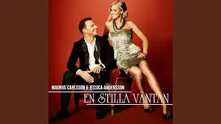 En stilla v&auml;ntan