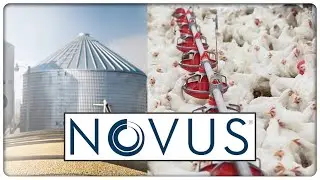 Novus Animal Feed Additive | Kolkata International Poultry Fair 2023 | Hybiz tv