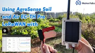 Using AgroSense Soil & Air EC-TH Pro LoRaWAN with Datacake: Smart Garden Monitoring