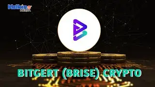Why is Bitgert (BRISE) Crypto Trending?