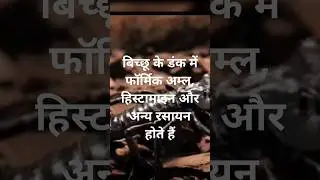 WILD& DOMESTIC LIFE #scorpion#nature #trending #youtube#बिच्छू