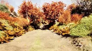 Pixel Nature 3D CGI and Ai