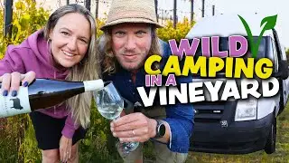 Van Life Cornwall &mdash; как мы ночевали в диком лагере в винограднике