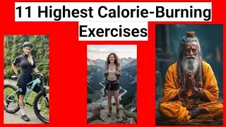 Top 20 Calorie Burning Exercises: Burn Fat Fast | Sitting vs HIIT vs Walking & More!