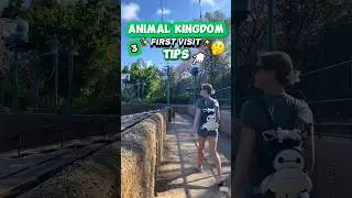 3 Things to Know BEFORE Going to Animal Kingdom 😮🌳 (Disney First Visit Tips)