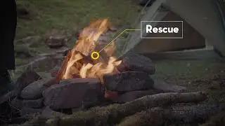 Wild Bible | Rescue: Who can save us? (Part 2)