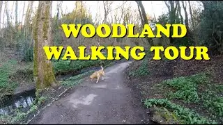 HALL LEE BANK PARK Walk 🏴󠁧󠁢󠁥󠁮󠁧󠁿 BOLTON England