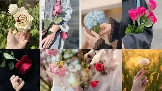 Hand dpz with flowers|Girls hand photography with flowers|Flower hand dpz for whatsapp#hands#dpz