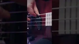 Euro 4 LX LTD - Fingers Demo