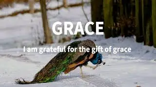 Grace | Positive Affirmation | Daily Word&reg; | Prayers
