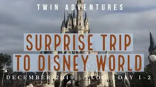 SURPRISE TRIP TO DISNEY | December 2019 Vlog - Day 1-2 | Twin Adventures