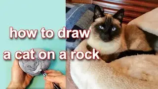 Siamese cat and sea cat. How to draw a cat on a rock