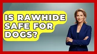 Is Rawhide Safe For Dogs? - Survival Skills for Everyone